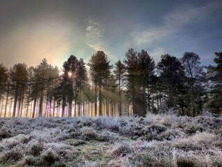 Low sun on a frosty day