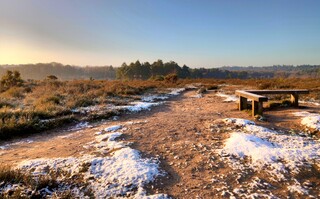 Winter bench on Shrike Hill