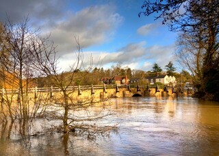 Tilford flooding