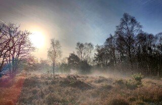 Frost evaporating