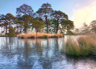 Doughnut Pond in winter