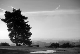 A bench with a view