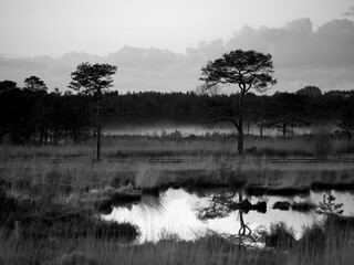 Rising mist at sunset