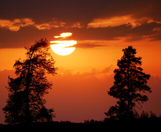Sunset silhouette #2