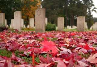 Canadian cemetery maple leaves